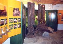 Foto für Nationalparkmuseum Zimmererhütte